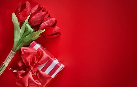 Saint Valentin 2023 offrez-vous un aménagement paysager Saint Sulpice et Cameyrac 33