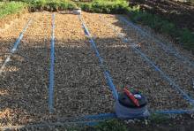 Nos prestations sur le secteur de Libourne en Gironde